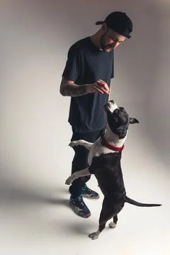 Dog training concept. Vertical studio shot of a middle-aged caucasian guy Stock Photos