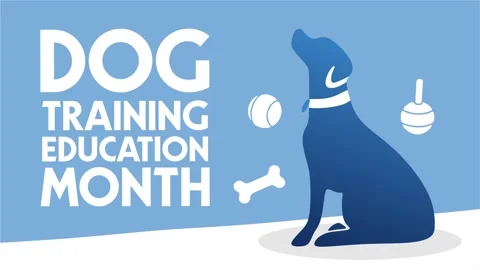 Dog Training Education Month for better dog training Video stock 338368050