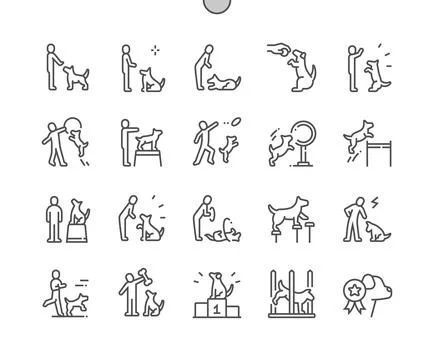 Dog training. Paw command. Frisbee. Illustrazione stock