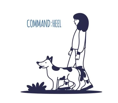 Dog training. The pet executes the command to the leg. The training process.  Illustrazione stock