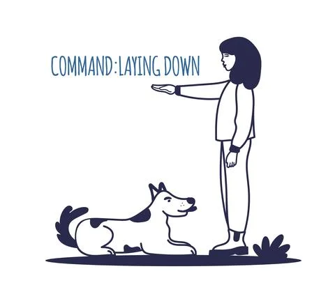 Dog training.  The pet executes the command to lie down. The training process Illustrazione stock