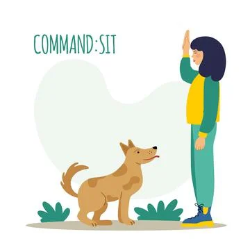 Dog training. The pet executes the sit command. The training process. A simpl Illustrazione stock