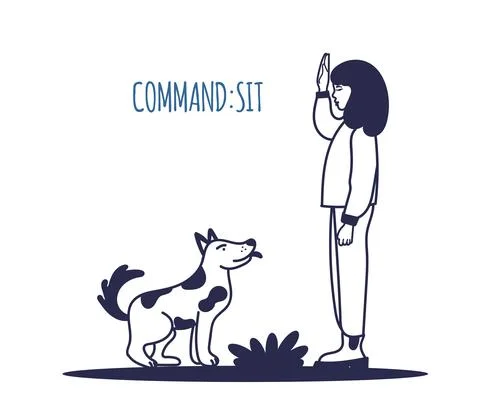 Dog training. The pet executes the sit command. The training process. A simpl Stock Illustration