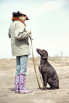 Dog training Stock Photos