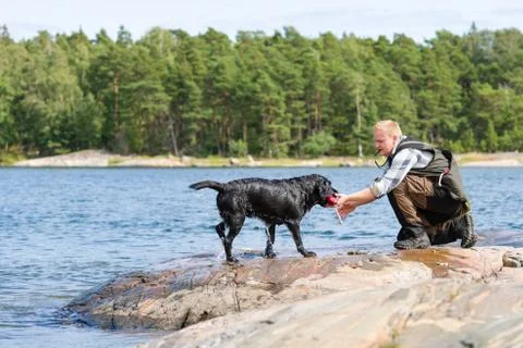 Dog training Stock-Fotos