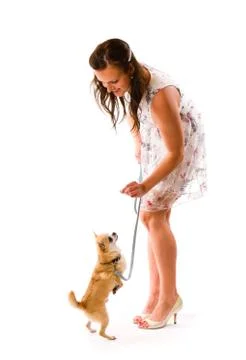 Dog training Foto stock