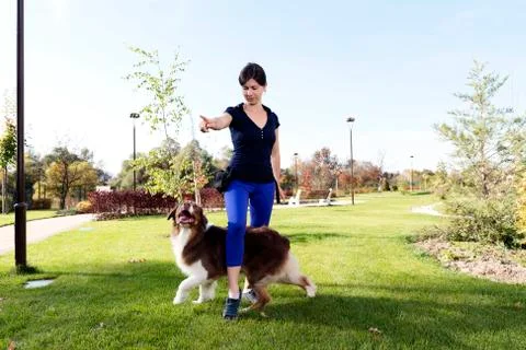 Dog Training Professional Handler Stock Photos