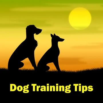  Dog Training Tips Representing Skills Dogs And Ideas Stock Illustration