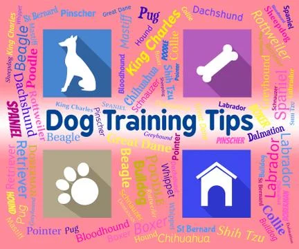  Dog Training Tips Showing Purebred Instructing And Canines Stock Illustration