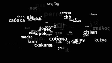 Dog Translated in 72 Worldwide Languages Endless Looping 3d Zooming Wordcloud Stock Footage 145197845