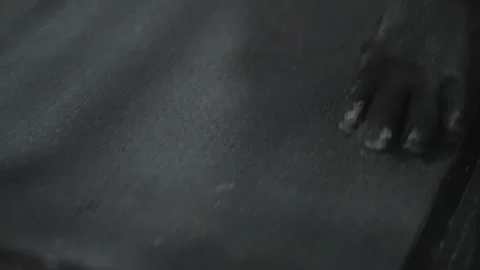 Dog on a treadmill Stock Footage 311745455