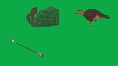 Dog Turkey Spear Fish 2d animated cartoon character on green screen High Vidéo 334703399