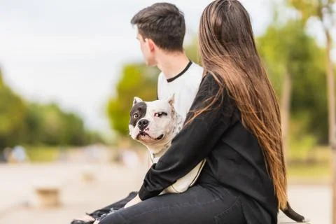 Dog turning to the camera while sitting in the middle of two people outdoors Stock Photos