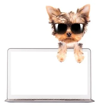 Dog using a computer Illustrazione stock