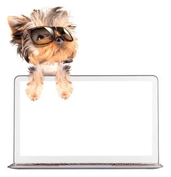 Dog using a computer Stock Illustration