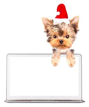 Dog using a computer Stockillustratie