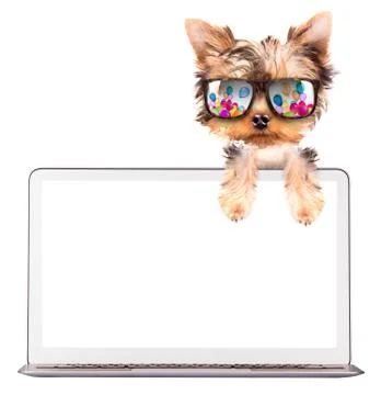 Dog using a computer Stock Illustration