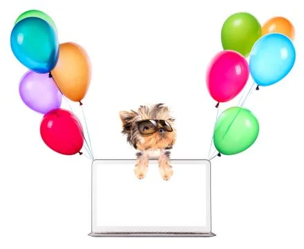 Dog using a computer Stock Illustration