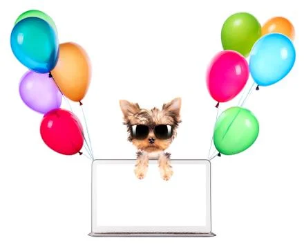 Dog using a computer Stock Illustration