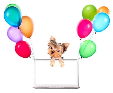 Dog using a computer Stock Illustration