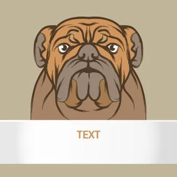 Dog vector and card template icon design, Dog illustration. Stock Illustration