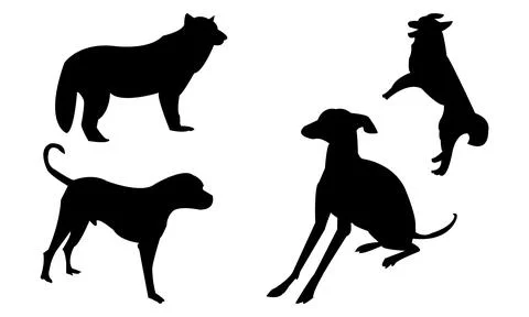 Dog Vector And Silhouette Design Collection. Stock Illustration