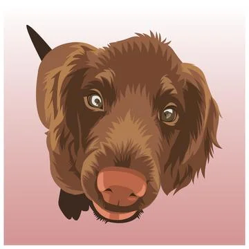 Dog vector illustration 017 Illustrazione stock