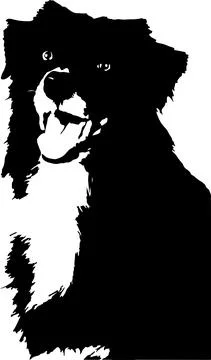 Dog vector illustration on background Stock Illustration