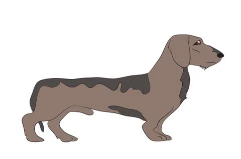 Dog vector in the room dachshund Stock Illustration