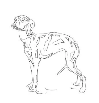Dog vector in the room Stock Illustration
