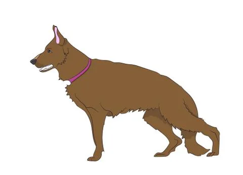 Dog vector in the room Stock Illustration
