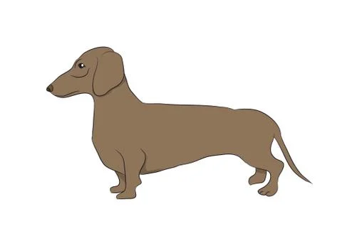 Dog vector in the room Stock Illustration