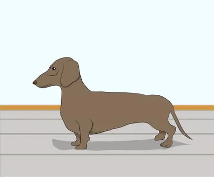 Dog vector in the room Stock Illustration