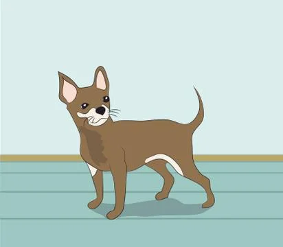 Dog vector in the room Stock Illustration