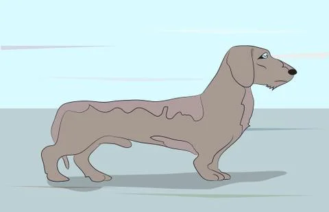 Dog vector in the room Stock-Illustration