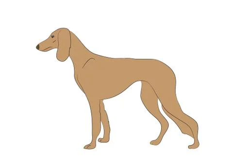 Dog vector in the room Stock Illustration