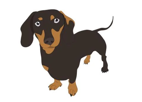 Dog vector in the room Stock Illustration