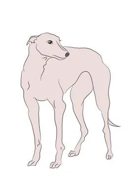 Dog vector in the room Illustrazione stock