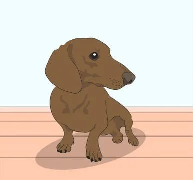 Dog vector in the room Stock Illustration