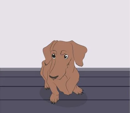 Dog vector in the room Stock-Illustration
