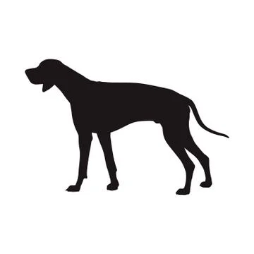 Dog vector silhouette, side view. Rhodian ridgeback. Hungarian Short-haired P Illustrazione stock