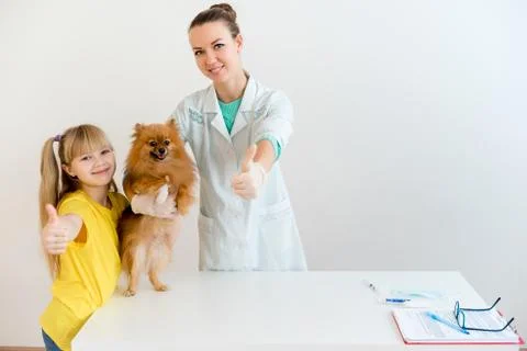 Dog with a vet Stock Photos