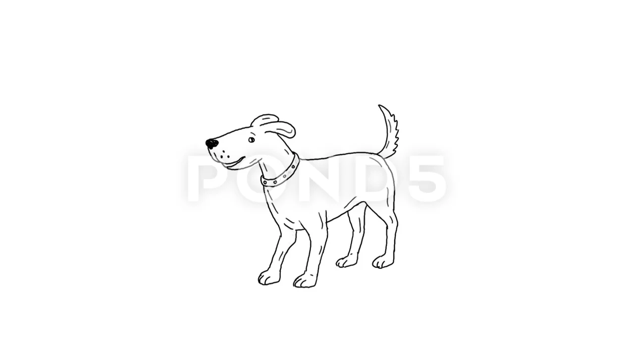 Dog Wagging Tail Drawing 2D Animation | Stock Video | Pond5