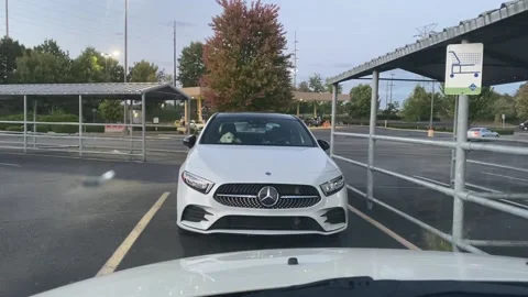 Dog Waiting in Car Stock Footage 235498685
