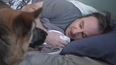 Dog Waking Up His Owner in Bed By Licking The Face In The Morning Stock Footage