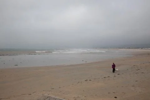 Dog walker on beach Stock Photos
