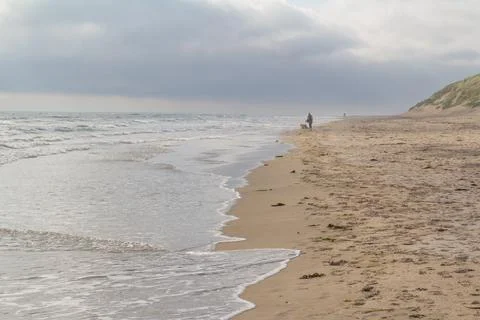 Dog walker on a beach Stock Photos