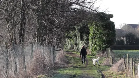 Dog Walker on Countryside Path Surrounded by Hedge Foliage Stock Footage 48982571