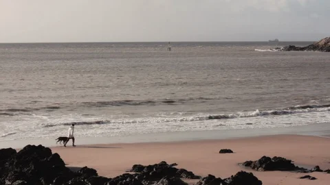 Dog walker walking along beach on winters monring Stock Footage 103845375