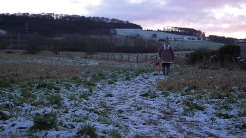 Dog walker in winter landscape Stock Footage 148115869